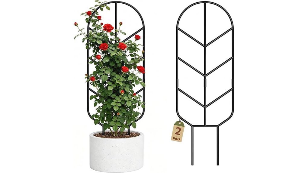 30 inch climbing plant support