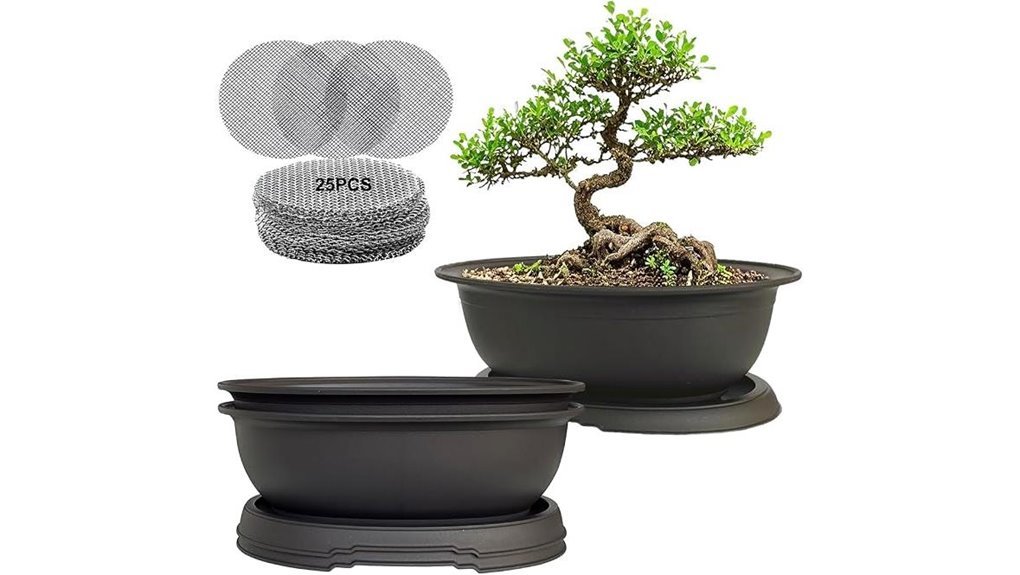 bonsai pot set trio