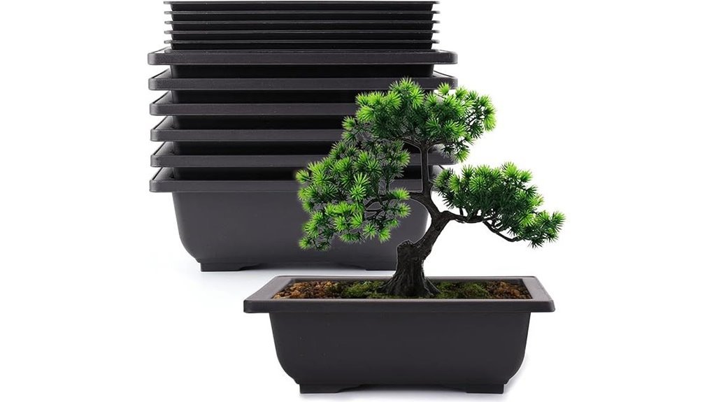 bonsai pots with trays