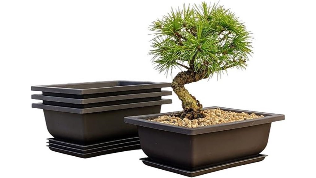 drainage pots for training
