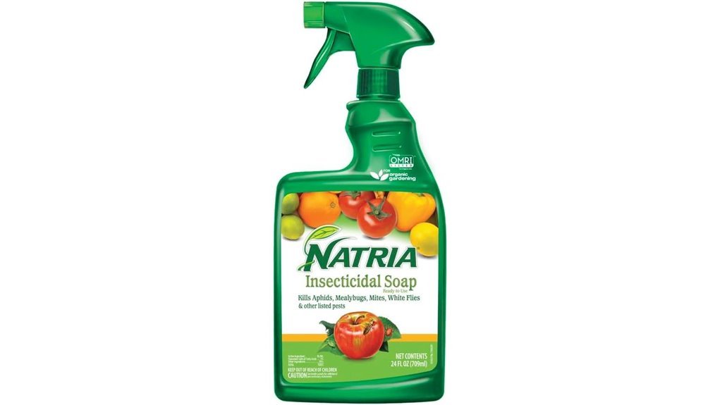effective pest control solution