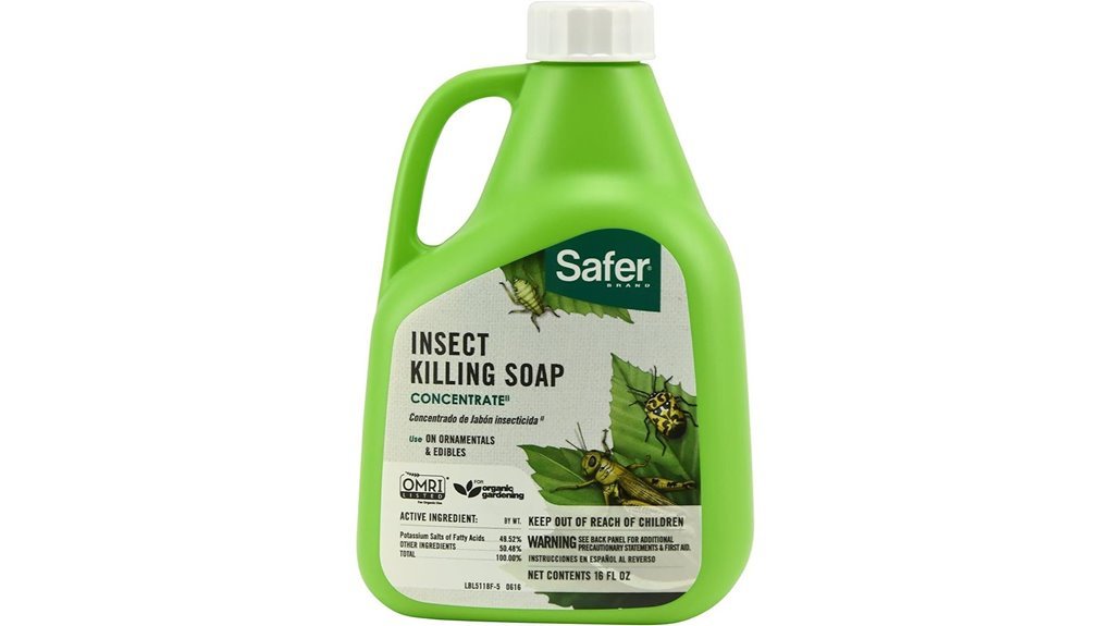 effective plant insecticide concentrate