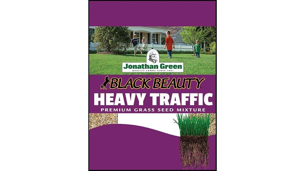 heavy traffic grass seed