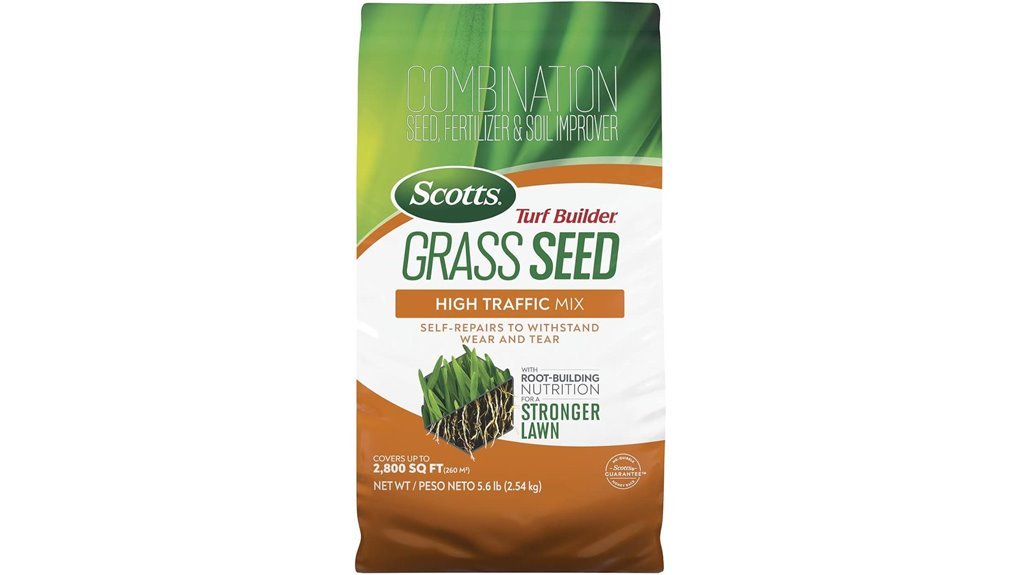 high traffic grass seed
