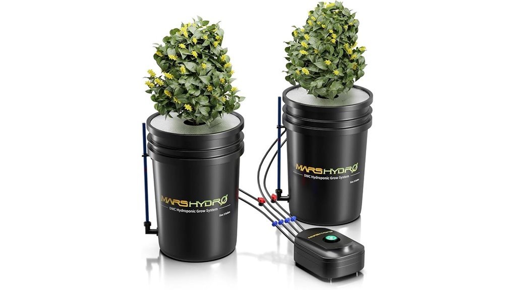hydroponic grow system setup