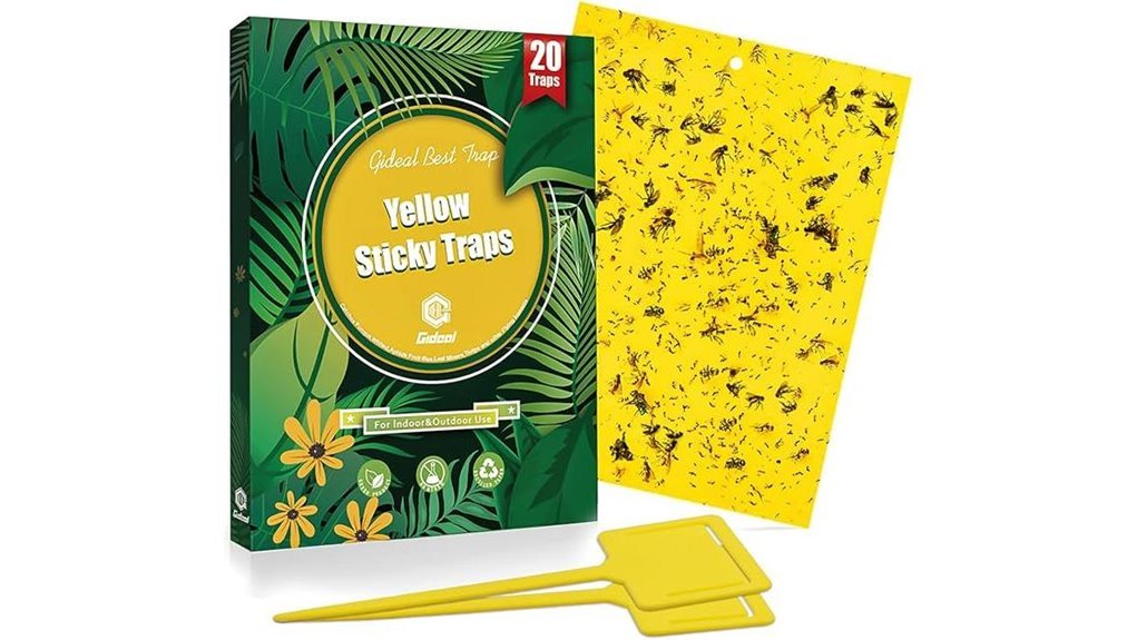 insect traps for plants