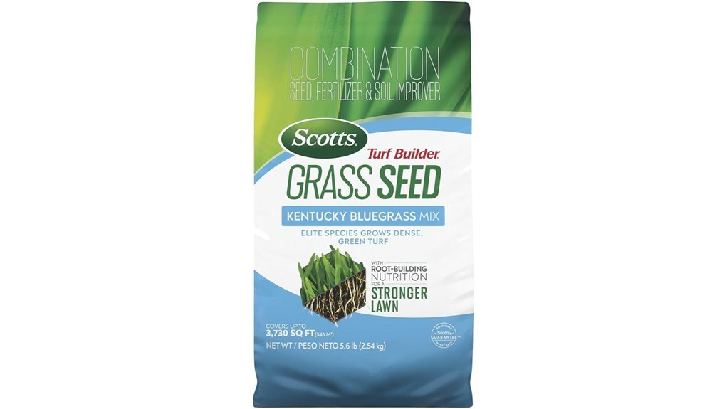 kentucky bluegrass seed mix
