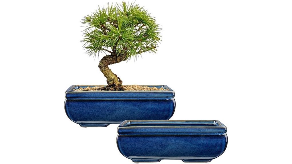 large bonsai pots set