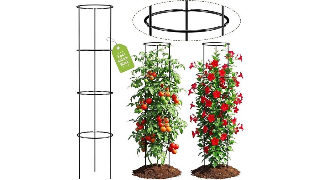 large round tomato supports