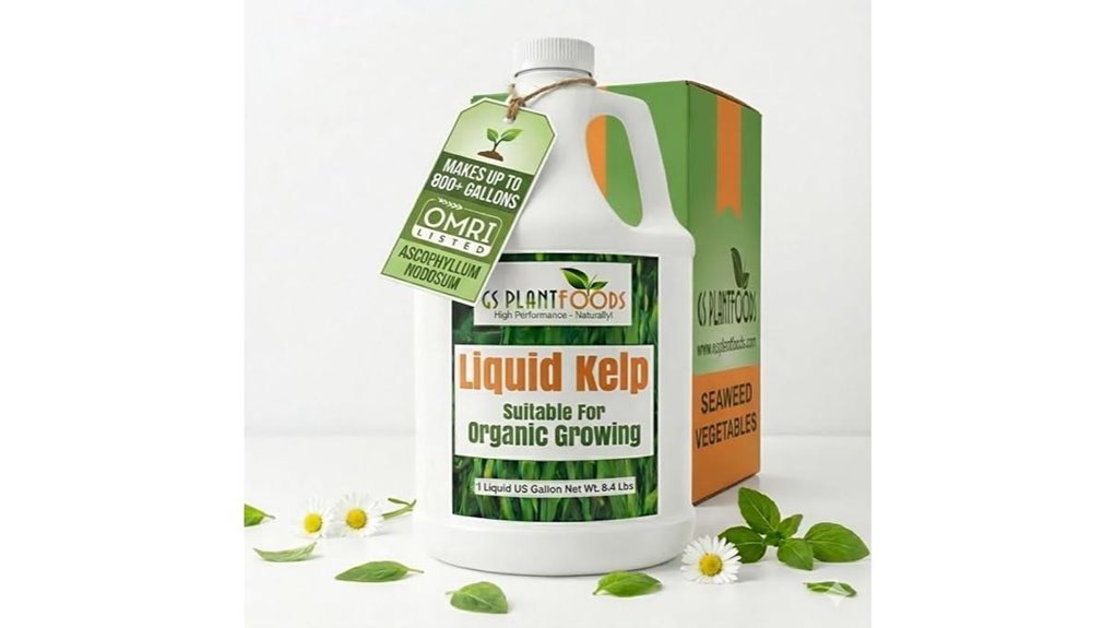 organic liquid kelp fertilizer