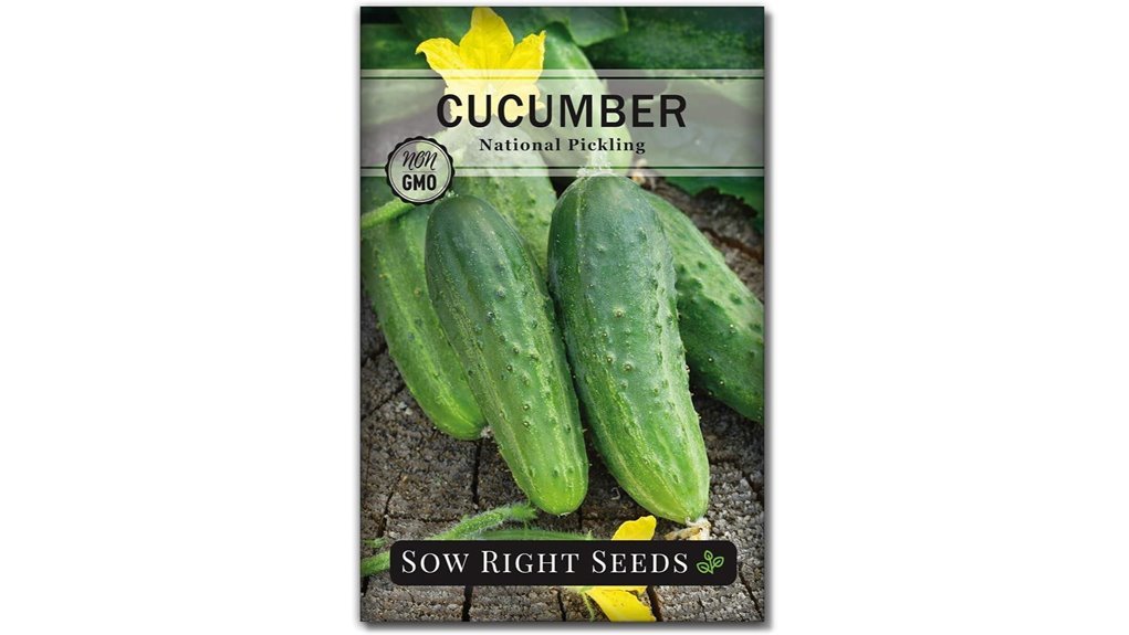 pickling cucumber seeds outdoors