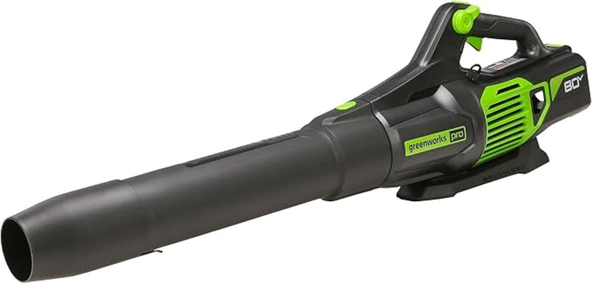 powerful 80v leaf blower