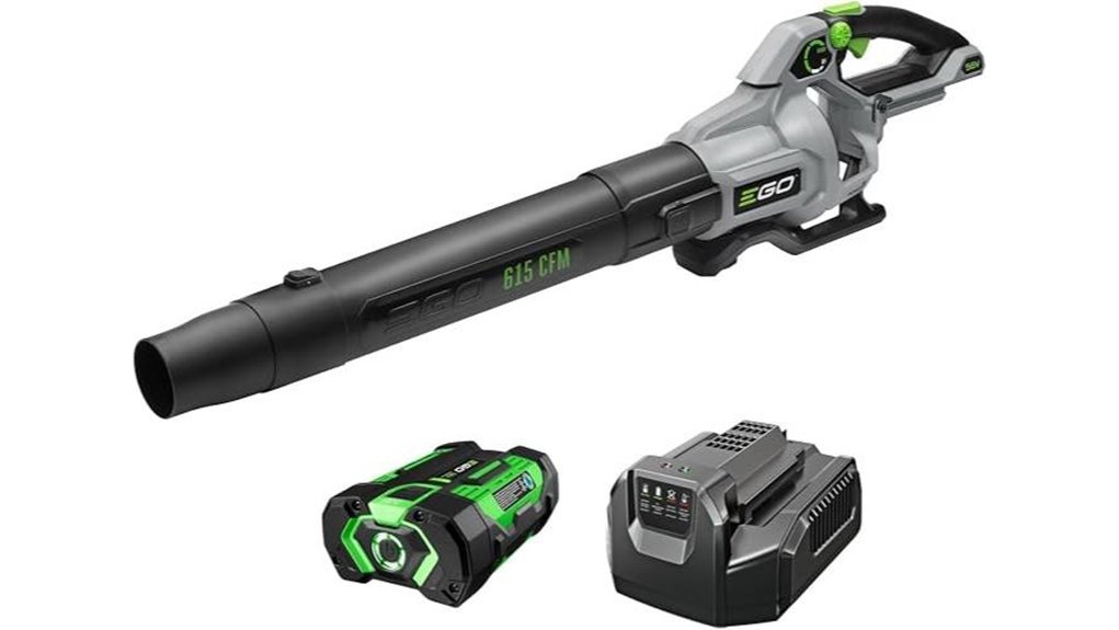 powerful cordless leaf blower