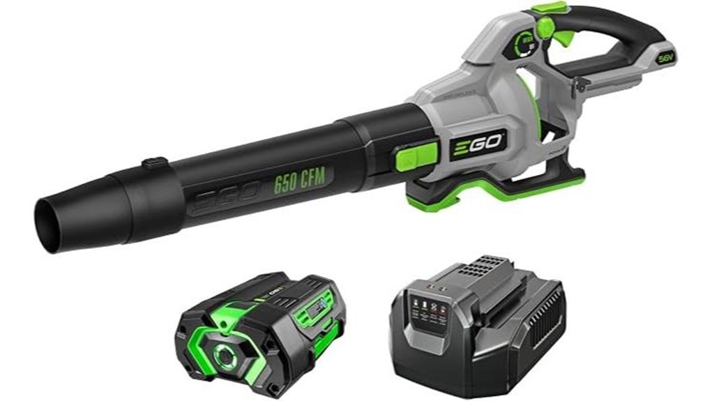 powerful cordless leaf blower