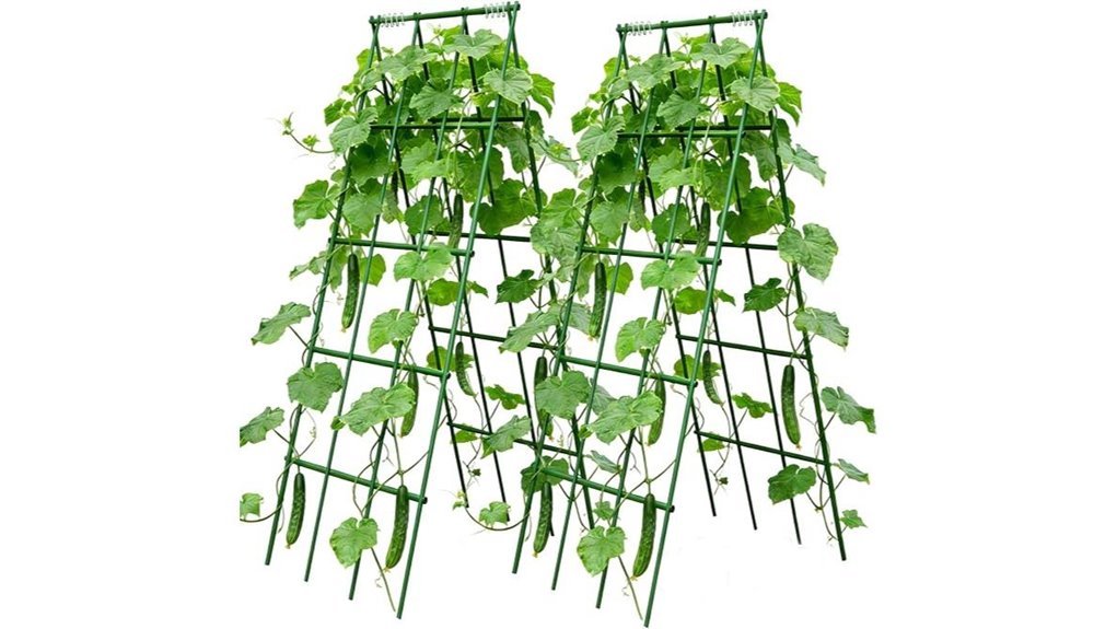 sturdy cucumber support system
