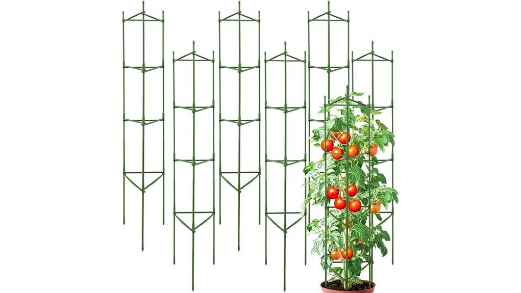sturdy tomato support system
