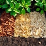 top garden mulch options s23z2
