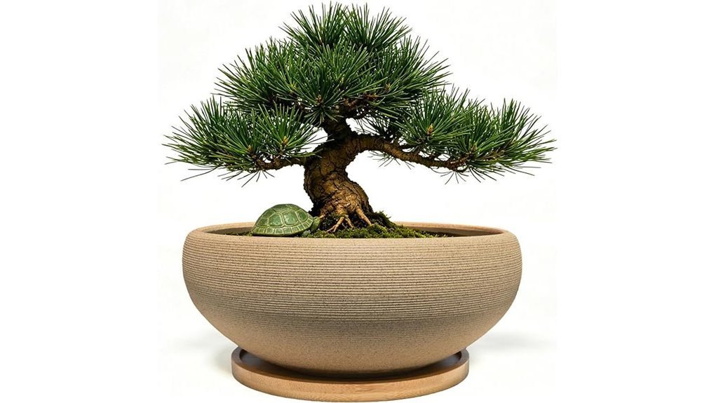 unglazed ceramic bonsai pot